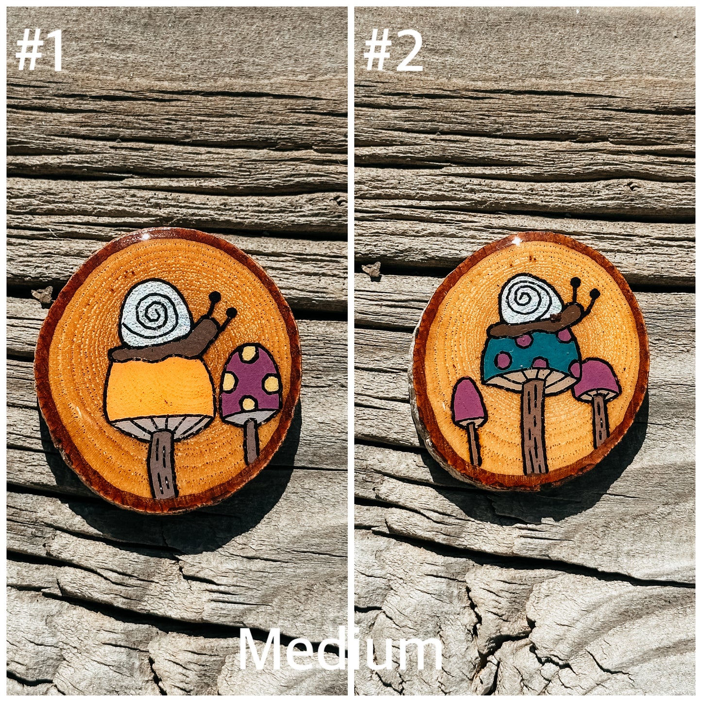 Snail & Shroom